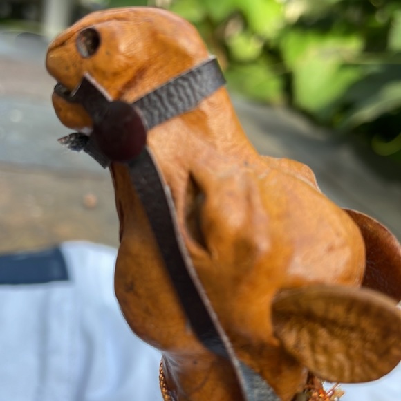 Camel from India - Picture 7 of 15